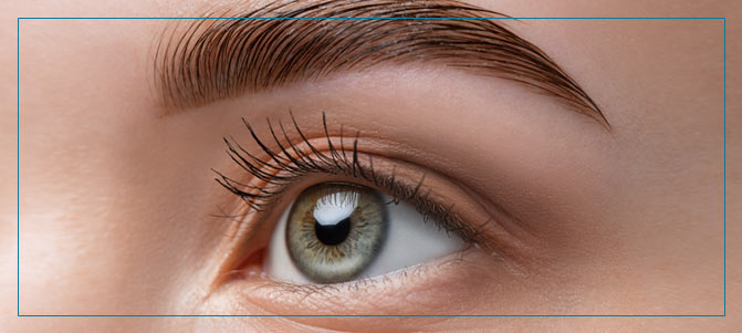 Top Brow Lift Specialists Near Me in Fairfax, VA